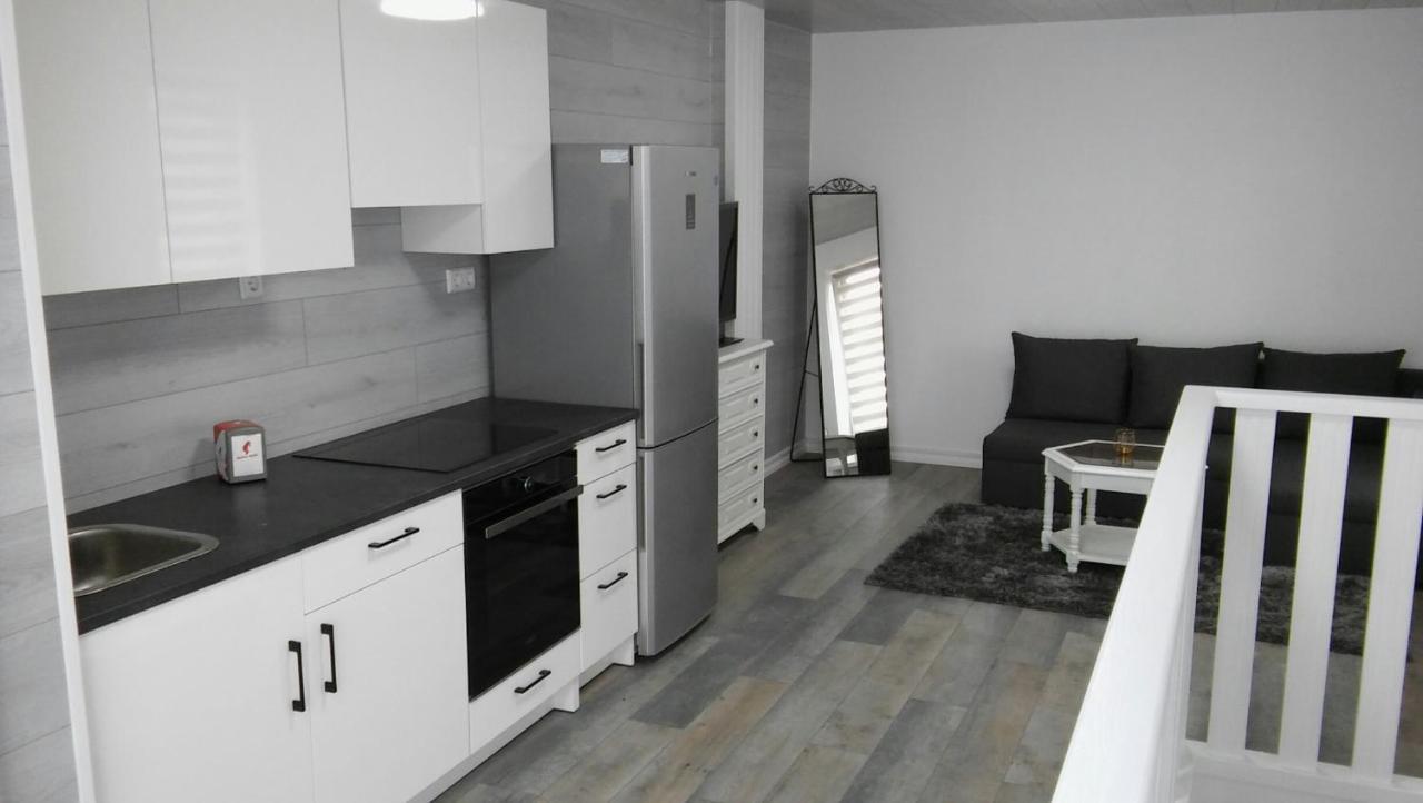 Columba Livia Guesthouse Palanga Bagian luar foto